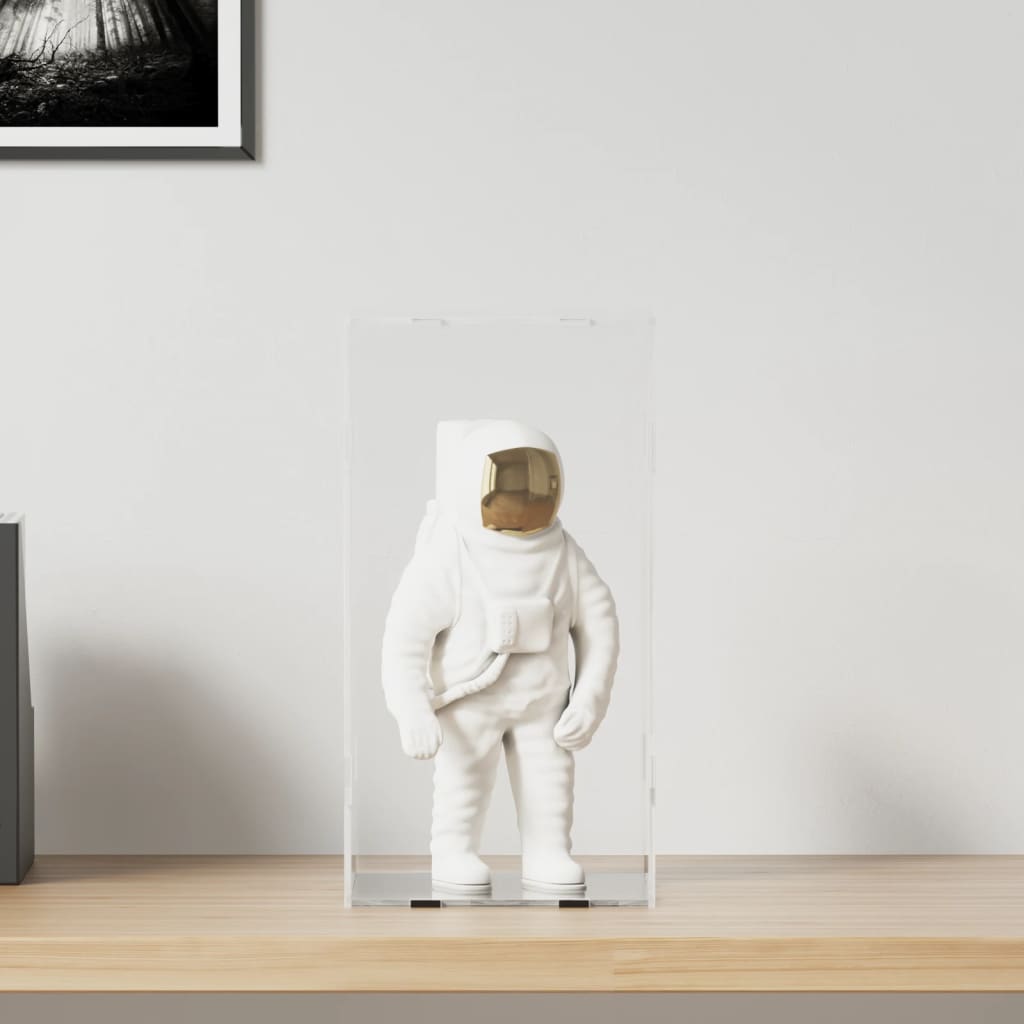 Displaykasse Transparent Akryl