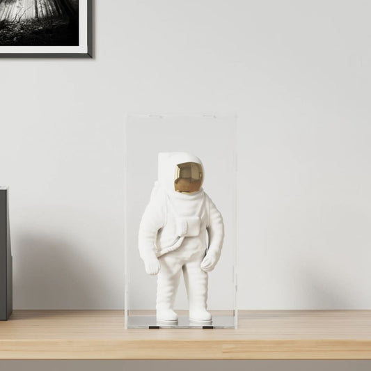 Displaykasse Transparent Akryl