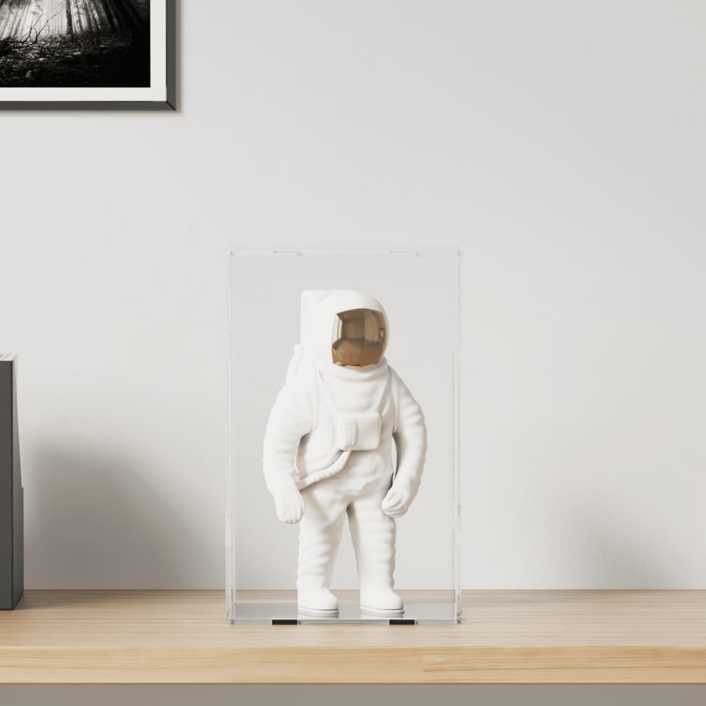 Displaykasse Transparent Akryl