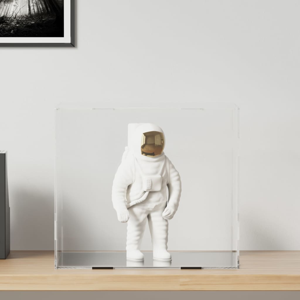 Displaykasse Transparent Akryl